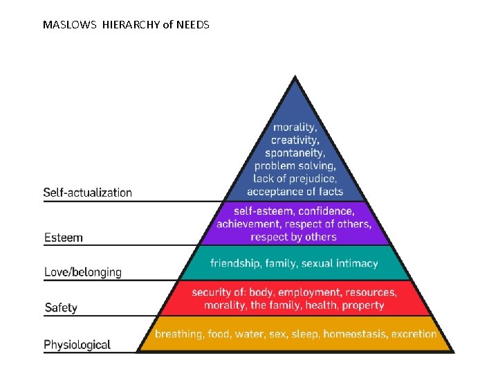 MASLOWS HIERARCHY of NEEDS 