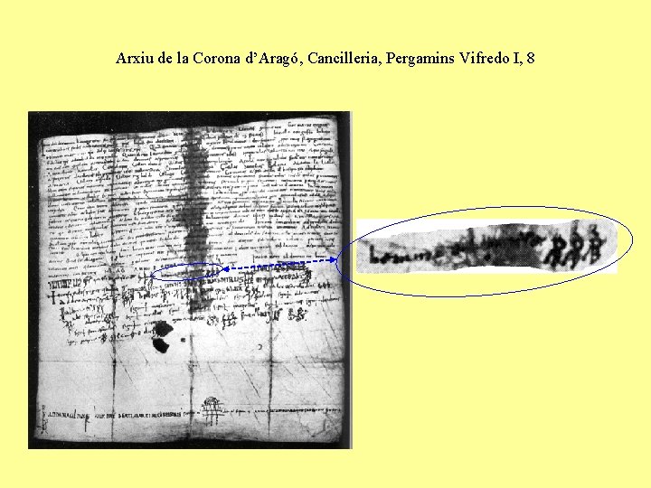 Arxiu de la Corona d’Aragó, Cancilleria, Pergamins Vifredo I, 8 