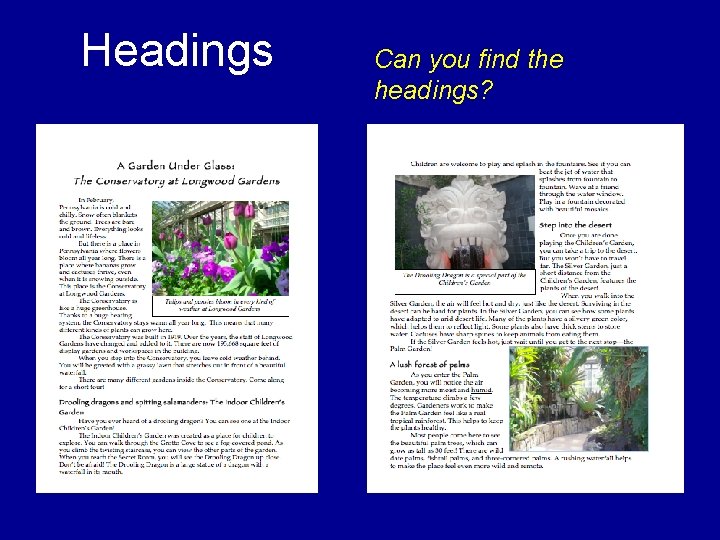 Headings Can you find the headings? 