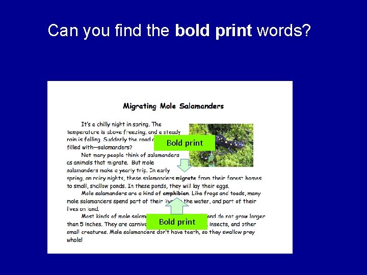 Can you find the bold print words? Bold print 