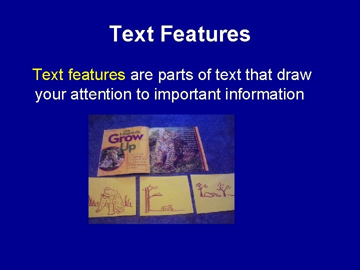 Text Features Text features are parts of text that draw your attention to important