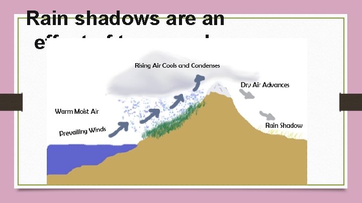 Rain shadows are an effect of topography 
