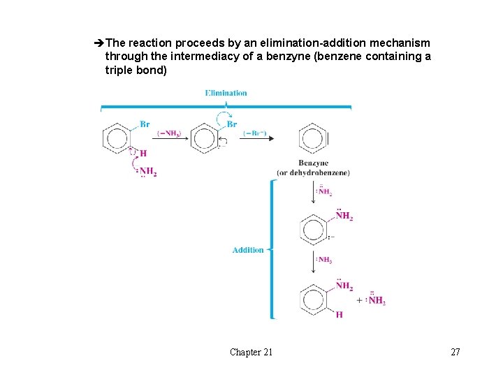 èThe reaction proceeds by an elimination-addition mechanism through the intermediacy of a benzyne (benzene èThe reaction proceeds by an elimination-addition mechanism through the intermediacy of a benzyne (benzene