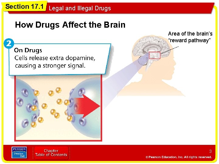 Section 17. 1 Legal and Illegal Drugs How Drugs Affect the Brain Area of