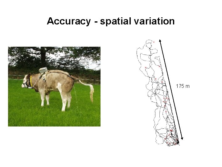 Accuracy - spatial variation 175 m 