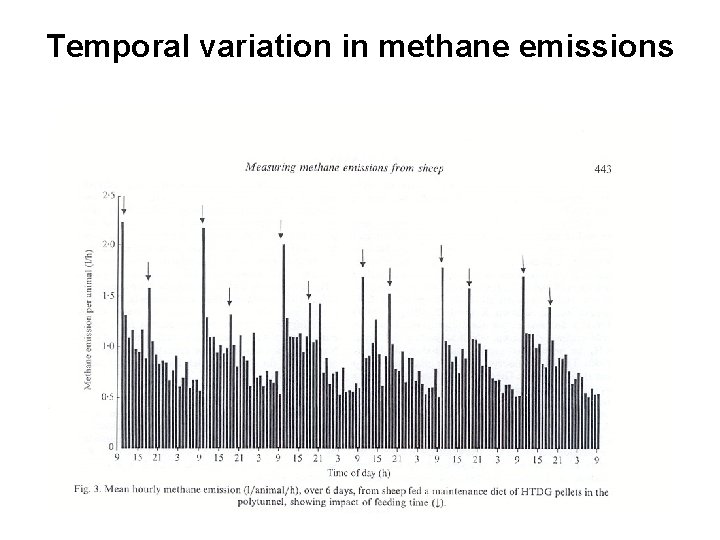 Temporal variation in methane emissions 