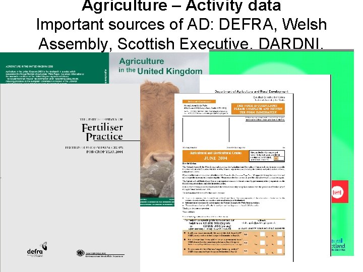 Agriculture – Activity data Important sources of AD: DEFRA, Welsh Assembly, Scottish Executive, DARDNI,