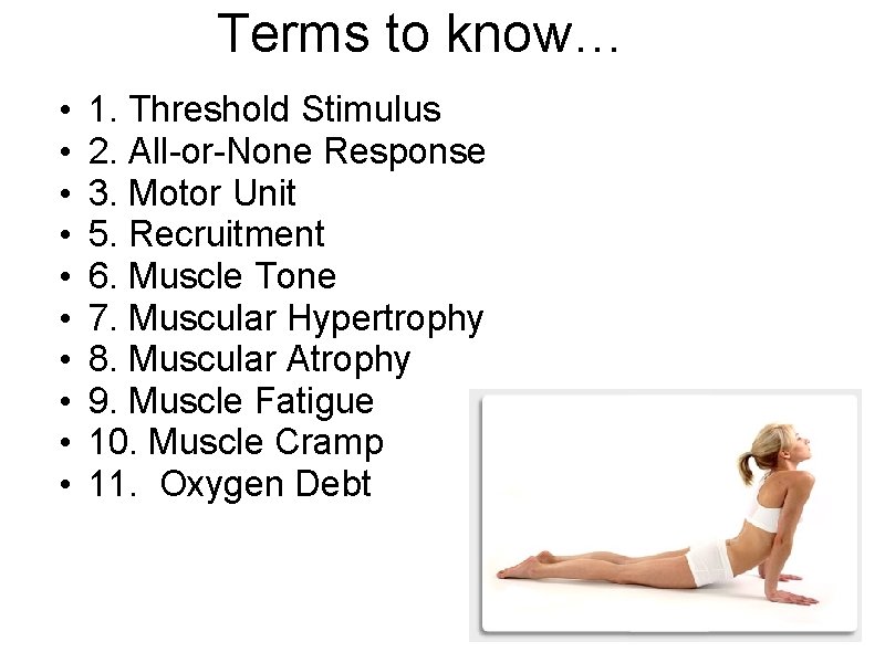 Terms to know… • • • 1. Threshold Stimulus 2. All-or-None Response 3. Motor