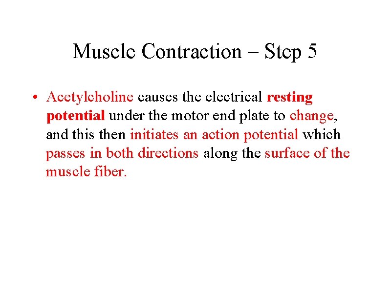 Muscle Contraction – Step 5 • Acetylcholine causes the electrical resting potential under the Muscle Contraction – Step 5 • Acetylcholine causes the electrical resting potential under the