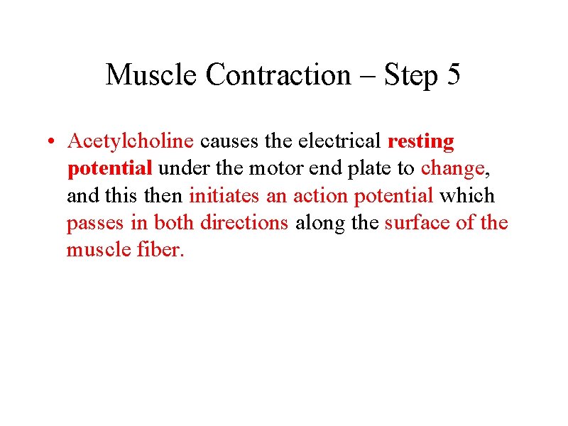 Muscle Contraction – Step 5 • Acetylcholine causes the electrical resting potential under the