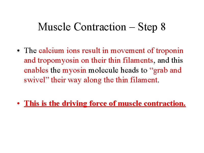 Muscle Contraction – Step 8 • The calcium ions result in movement of troponin