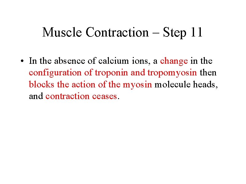 Muscle Contraction – Step 11 • In the absence of calcium ions, a change