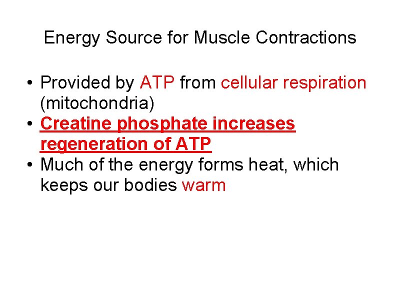 Energy Source for Muscle Contractions • Provided by ATP from cellular respiration (mitochondria) •