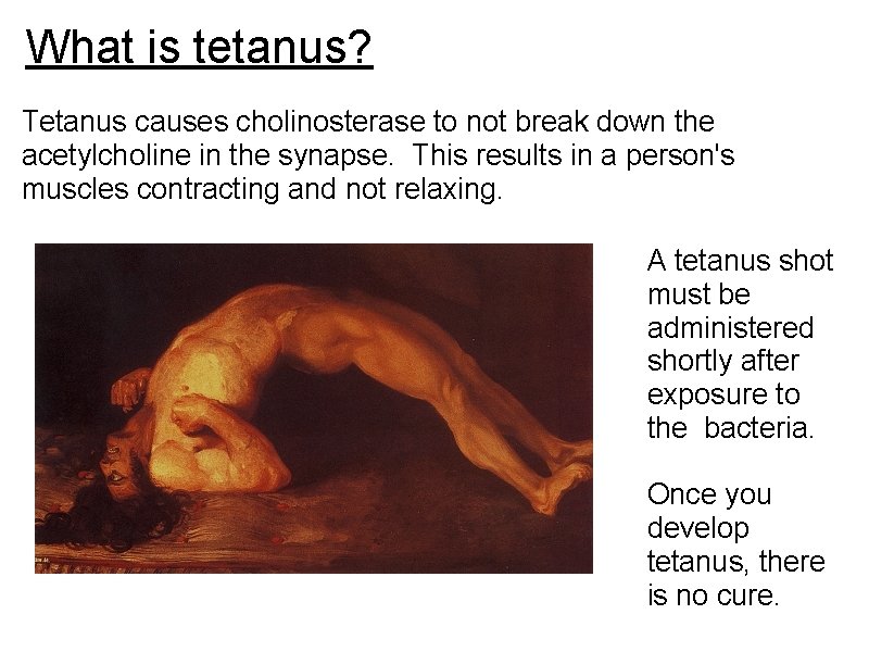 What is tetanus? Tetanus causes cholinosterase to not break down the acetylcholine in the