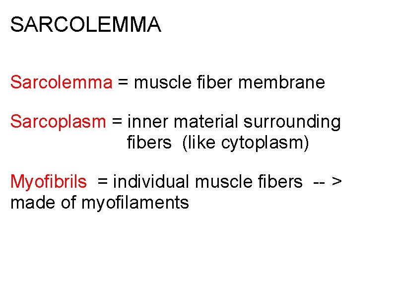 SARCOLEMMA Sarcolemma = muscle fiber membrane Sarcoplasm = inner material surrounding fibers (like cytoplasm)