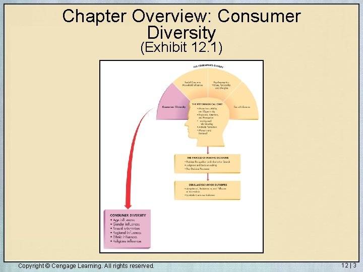 Chapter Overview: Consumer Diversity (Exhibit 12. 1) Copyright © Cengage Learning. All rights reserved.