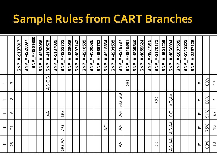 21 AG AC AA 23 GG, AA CC 13 1 CC AA AG, GG