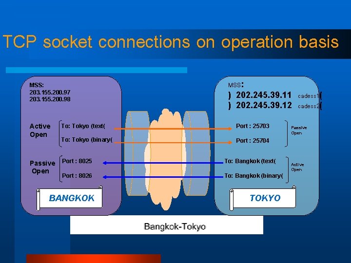 TCP socket connections on operation basis MSS: 203. 155. 200. 97 203. 155. 200.