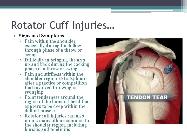 Rotator Cuff Injuries… • Signs and Symptoms: ▫ Pain within the shoulder, especially during