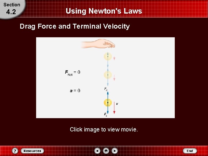Section 4. 2 Using Newton's Laws Drag Force and Terminal Velocity Click image to