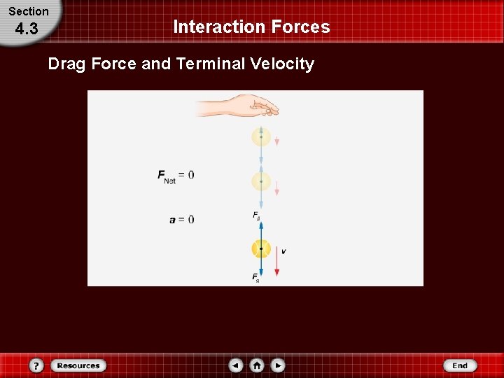 Section 4. 3 Interaction Forces Drag Force and Terminal Velocity 