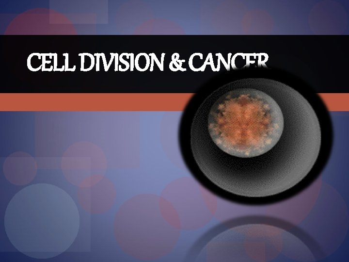 CELL DIVISION & CANCER 