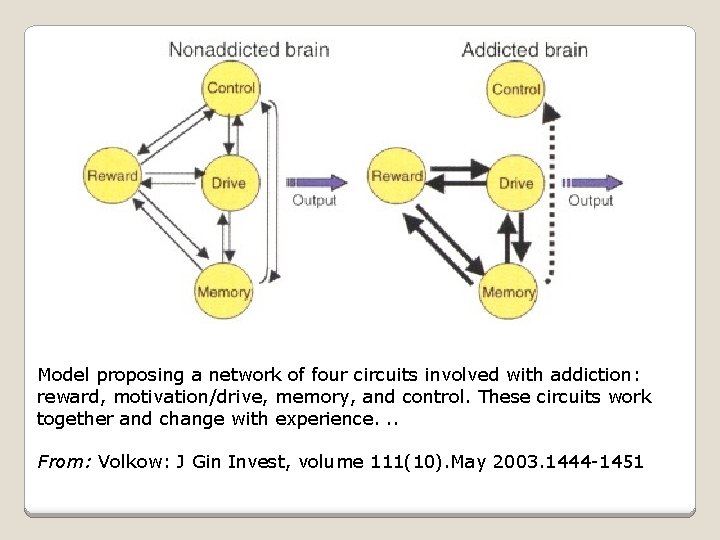 Model proposing a network of four circuits involved with addiction: reward, motivation/drive, memory, and