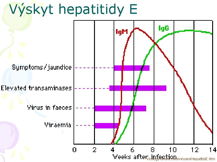 Výskyt hepatitidy E virology-online. com/viruses/Hepatitis. E. htm 