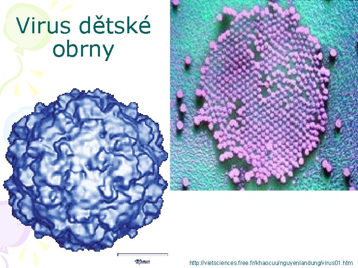 Virus dětské obrny http: //vietsciences. free. fr/khaocuu/nguyenlandung/virus 01. htm 