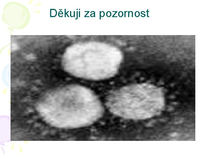 Děkuji za pozornost 