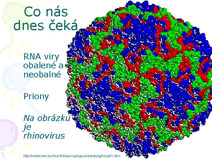 Co nás dnes čeká RNA viry obalené a neobalné Priony Na obrázku je rhinovirus