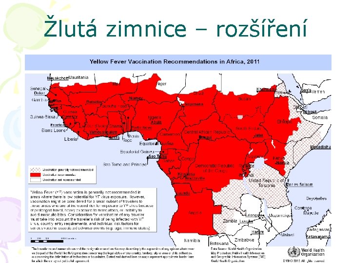 Žlutá zimnice – rozšíření 