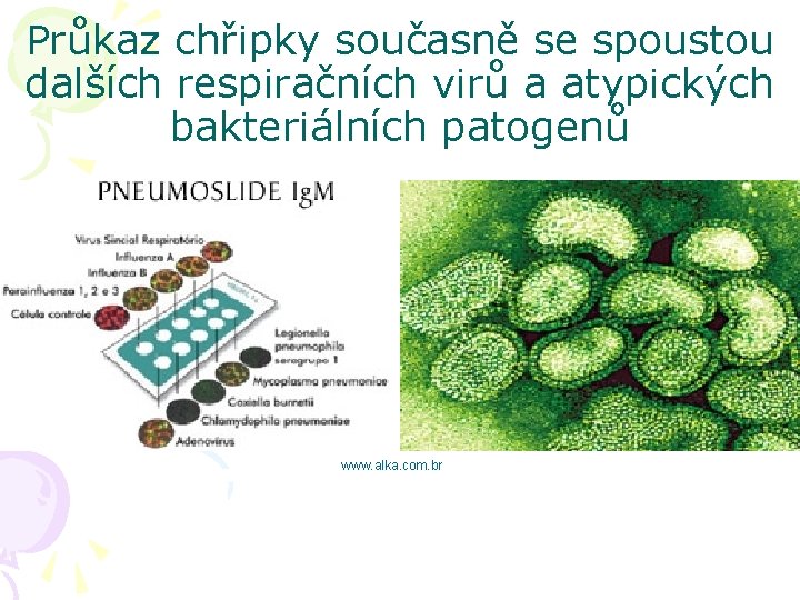 Průkaz chřipky současně se spoustou dalších respiračních virů a atypických bakteriálních patogenů www. alka.