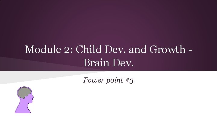 Module 2: Child Dev. and Growth Brain Dev. Power point #3 