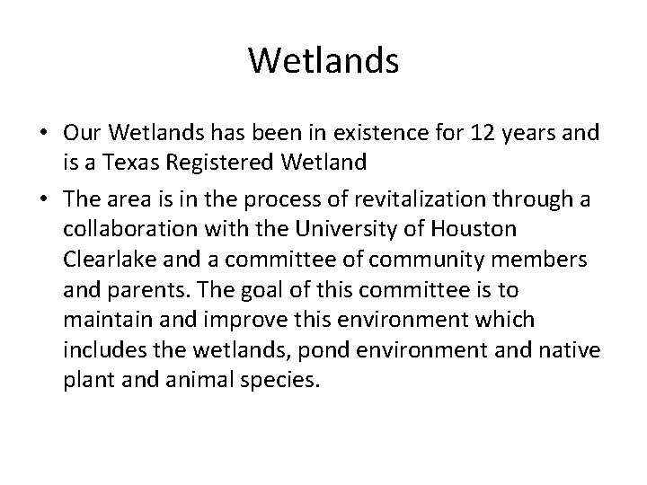 Wetlands • Our Wetlands has been in existence for 12 years and is a