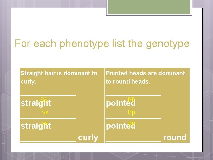 For each phenotype list the genotype Straight hair is dominant to curly. Pointed heads