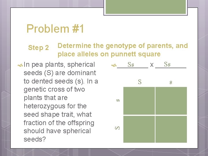 Problem #1 Determine the genotype of parents, and place alleles on punnett square Ss