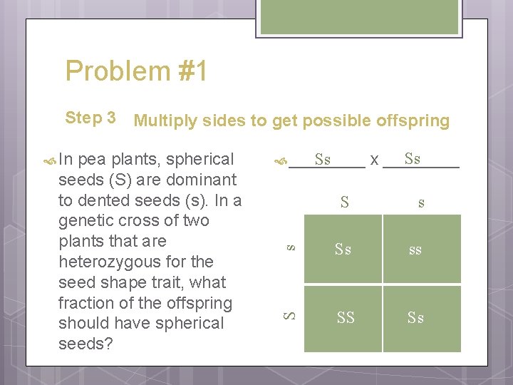 Problem #1 pea plants, spherical seeds (S) are dominant to dented seeds (s). In