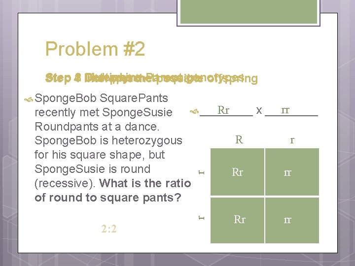 Problem #2 3 Interpret Multiply Determine Parent genotypes 12 Draw punnett square Step 4