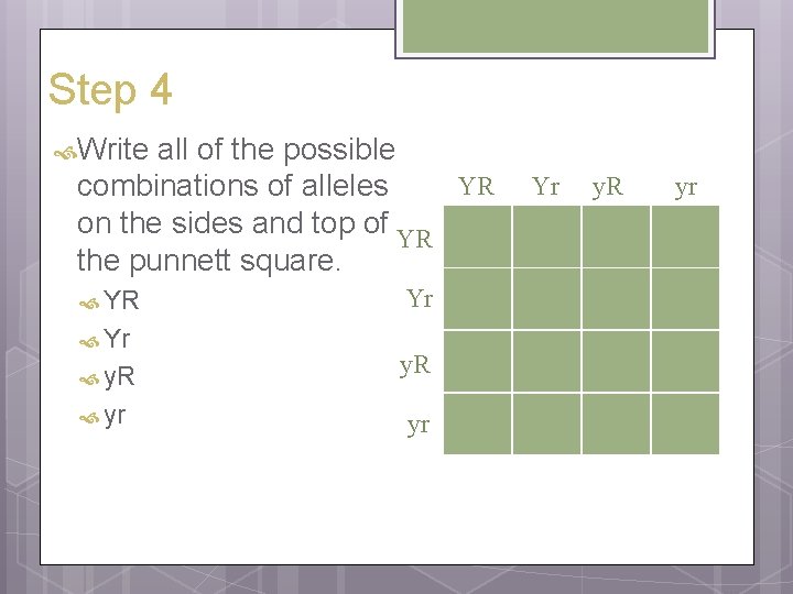 Step 4 Write all of the possible YR combinations of alleles on the sides