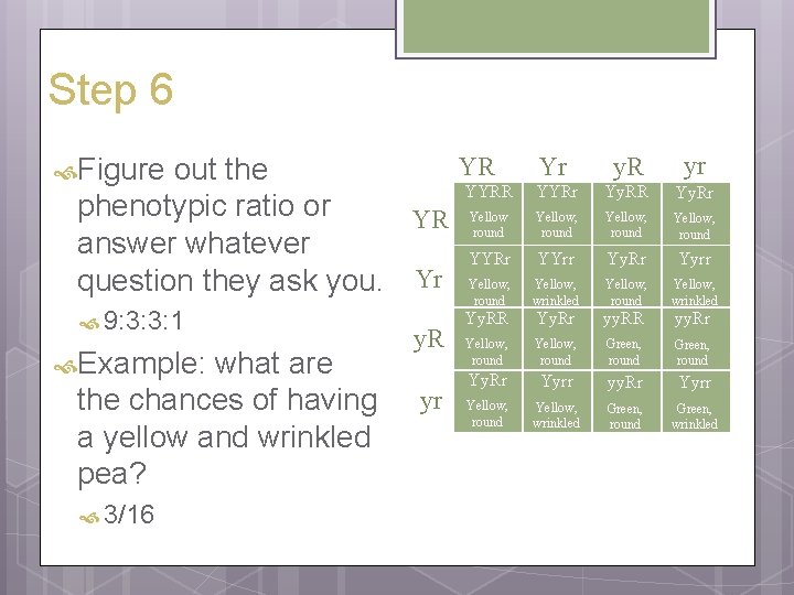 Step 6 YR Yr out the YYRR YYRr phenotypic ratio or Yellow, YR Yellow