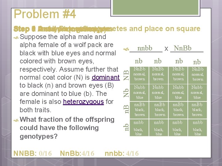 Problem #4 3 5 Answer and Analyze 4 punnett Determine results gametes and place