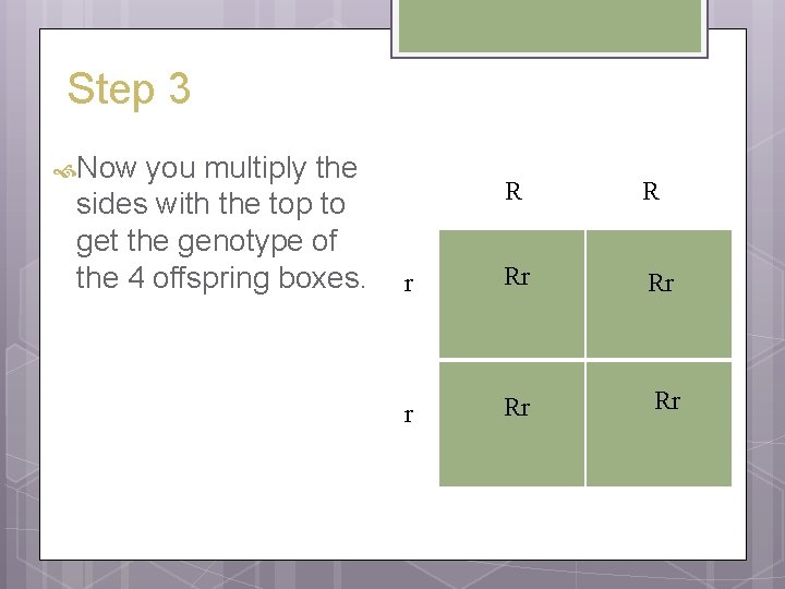 Step 3 Now you multiply the sides with the top to get the genotype