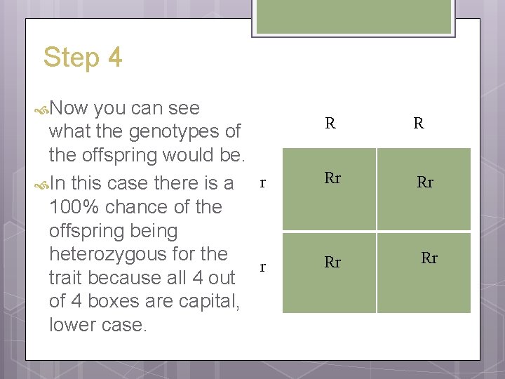 Step 4 Now you can see what the genotypes of the offspring would be.