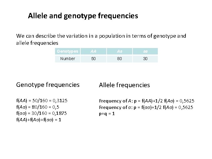 Allele and genotype frequencies We can describe the variation in a population in terms