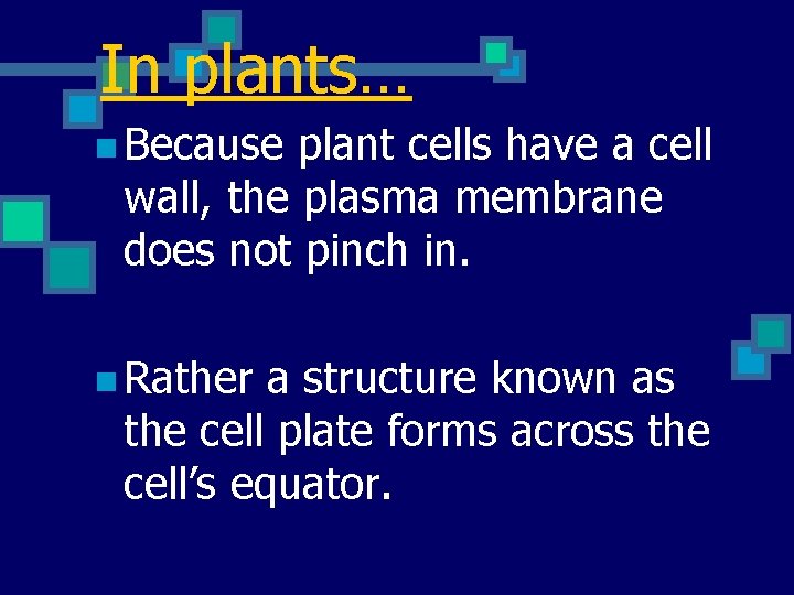 In plants… n Because plant cells have a cell wall, the plasma membrane does