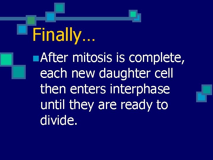 Finally… n After mitosis is complete, each new daughter cell then enters interphase until