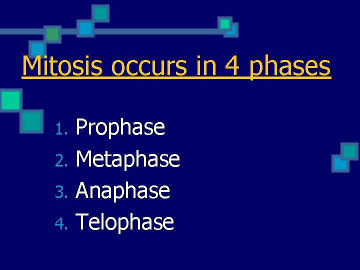 Mitosis occurs in 4 phases 1. 2. 3. 4. Prophase Metaphase Anaphase Telophase 