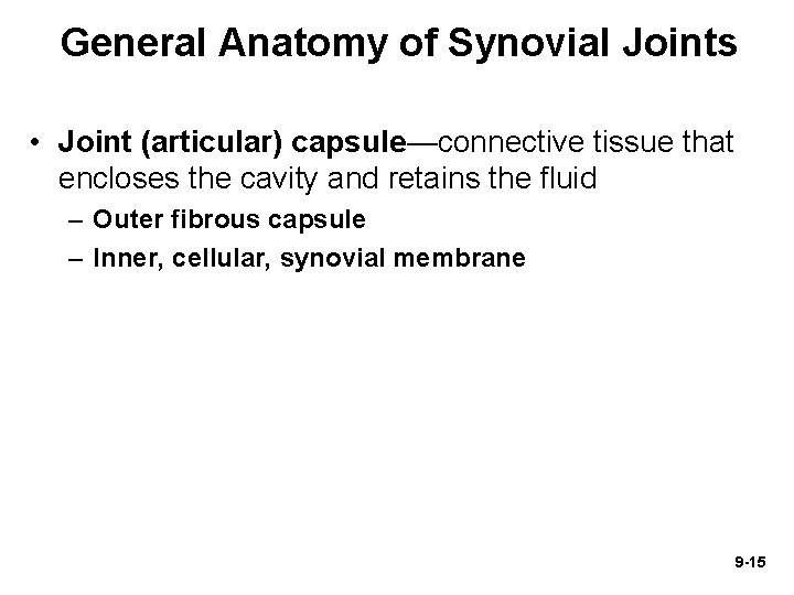 General Anatomy of Synovial Joints • Joint (articular) capsule—connective tissue that encloses the cavity