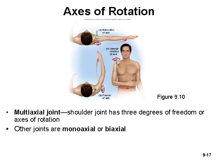 Axes of Rotation Figure 9. 10 • Multiaxial joint—shoulder joint has three degrees of